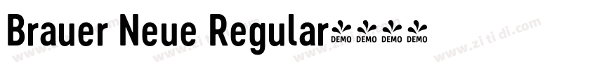 Brauer Neue Regular字体转换